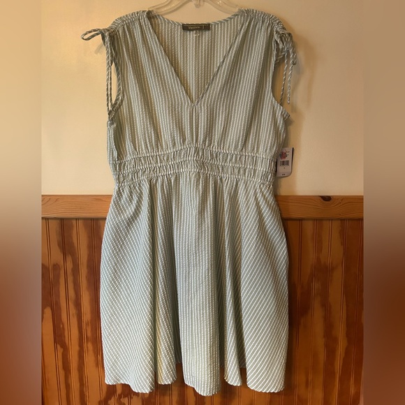 NWT Chic Mint Striped V-Neck Midi Dress with Pockets - Picture 1 of 6